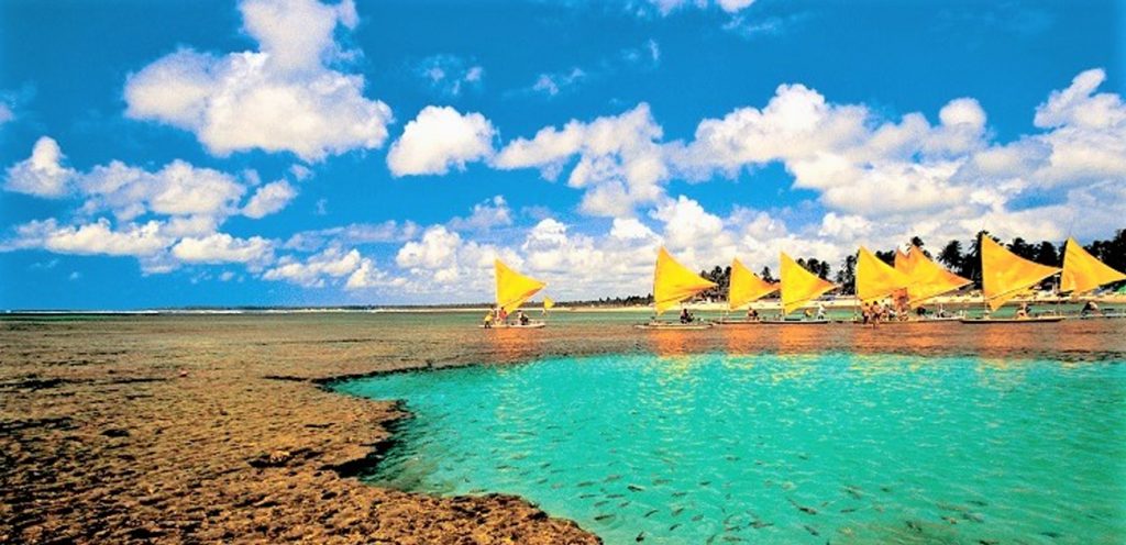 Guia Completo de Porto de Galinhas