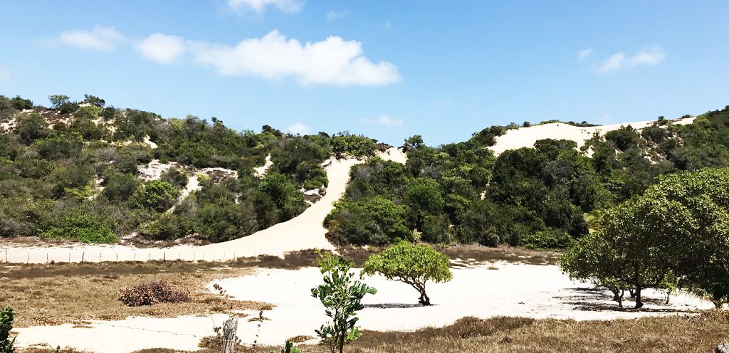 Destaque - Lucas Estevam em Natal