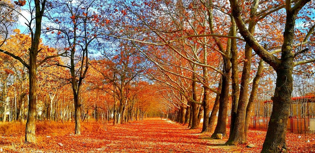 Lugares para visitar no outono