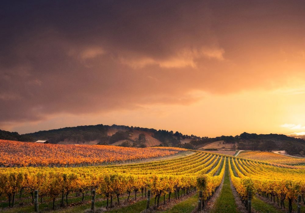 EPM Wine Club – Vinhos por Assinatura